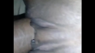 Pov